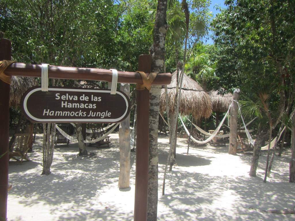 ai636.photobucket.com_albums_uu81_ruimartinsphotos_Mexico_202013_IMG_0536Copy.jpg