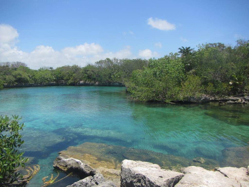 ai636.photobucket.com_albums_uu81_ruimartinsphotos_Mexico_202013_IMG_0537Copy.jpg