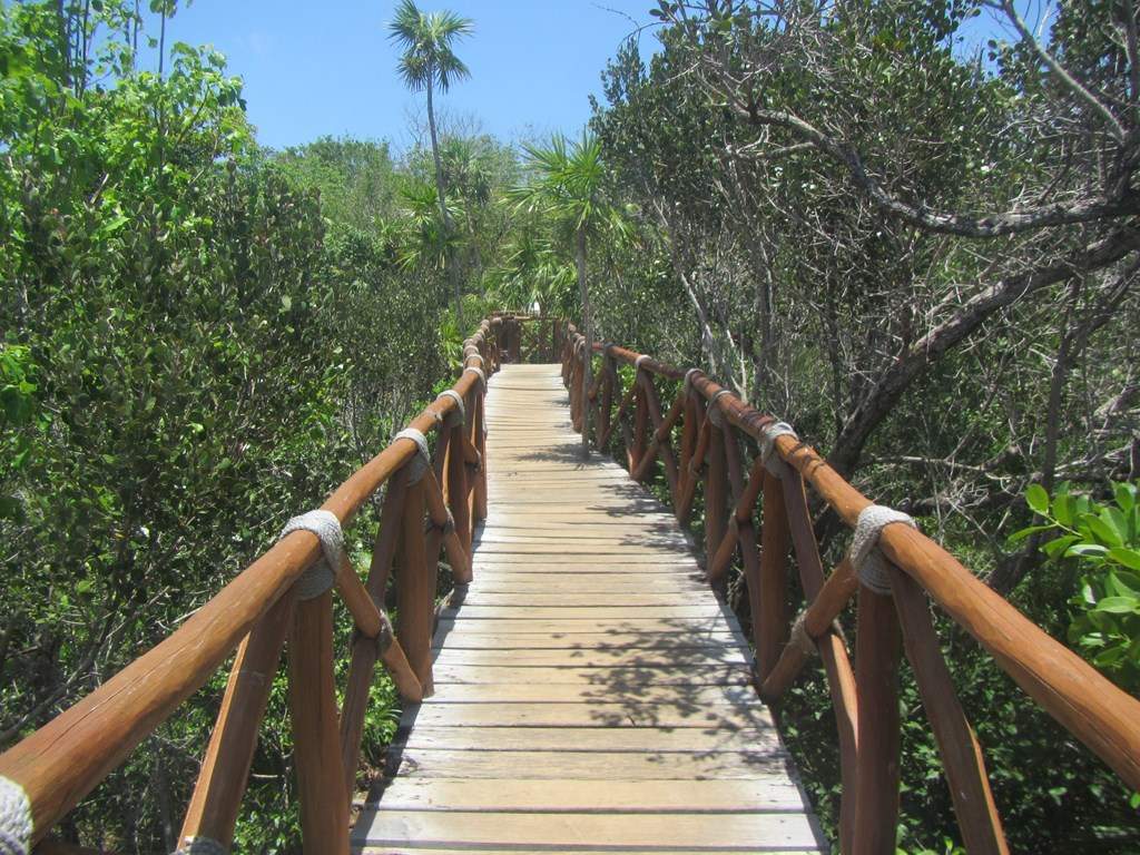ai636.photobucket.com_albums_uu81_ruimartinsphotos_Mexico_202013_IMG_0547Copy.jpg