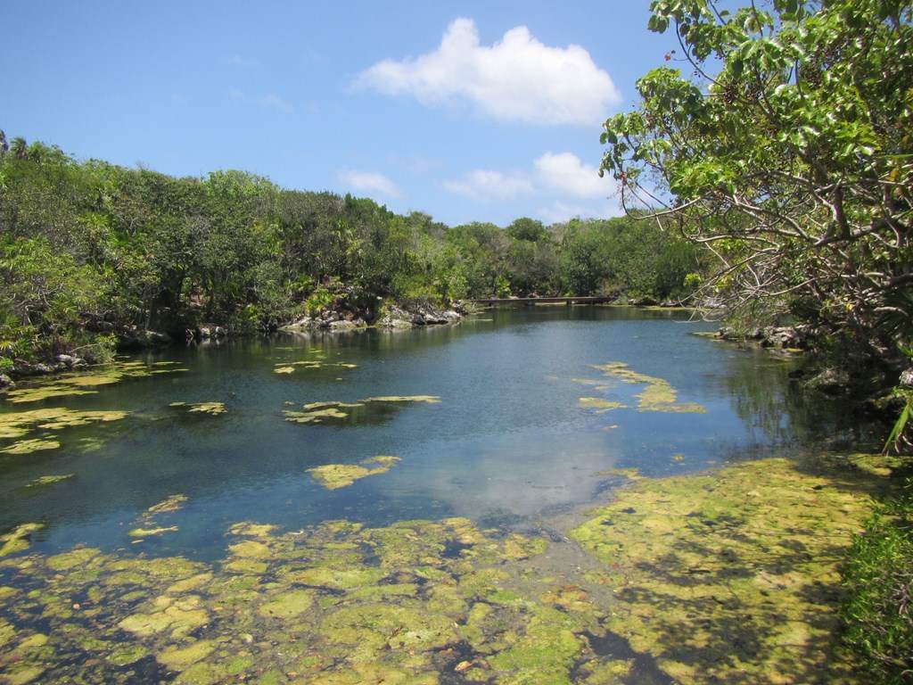 ai636.photobucket.com_albums_uu81_ruimartinsphotos_Mexico_202013_IMG_0550Copy.jpg
