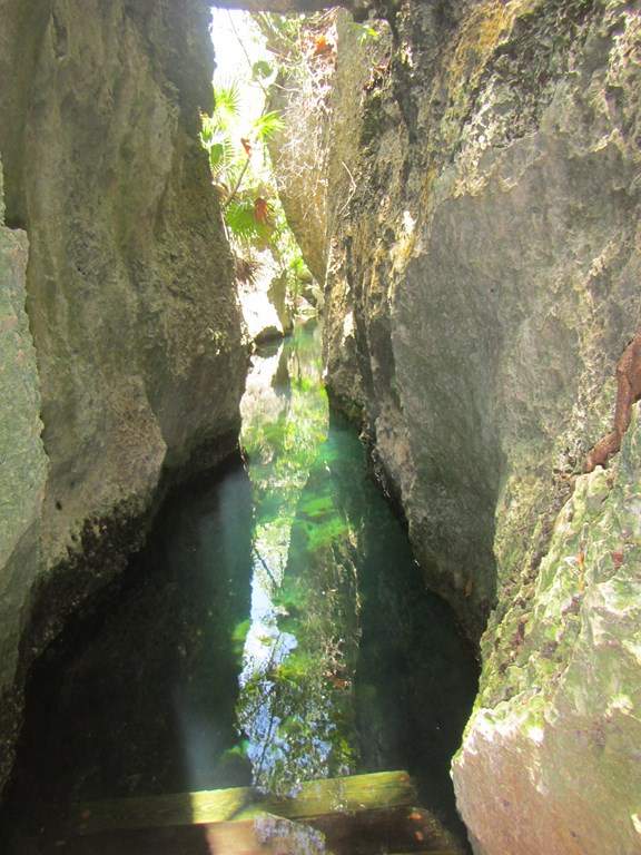 ai636.photobucket.com_albums_uu81_ruimartinsphotos_Mexico_202013_IMG_0552Copy.jpg
