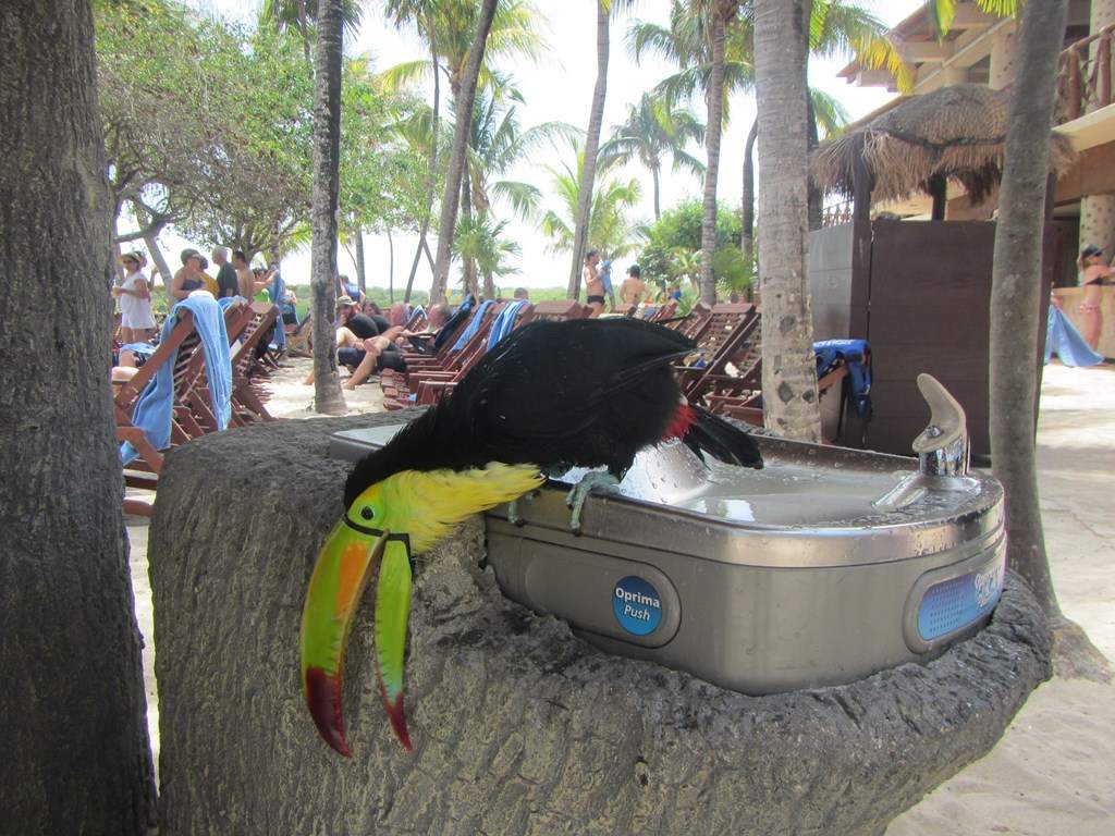 ai636.photobucket.com_albums_uu81_ruimartinsphotos_Mexico_202013_IMG_0596Copy.jpg