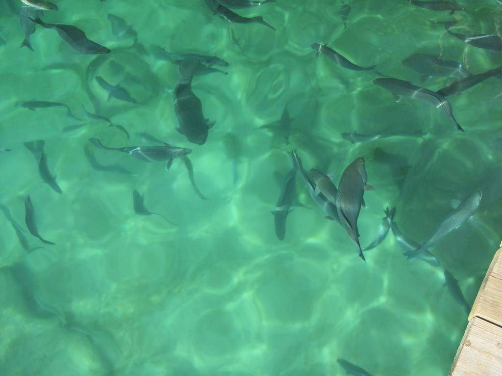 ai636.photobucket.com_albums_uu81_ruimartinsphotos_Mexico_202013_IMG_0607Copy.jpg