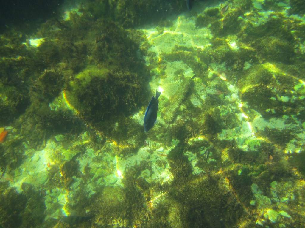 ai636.photobucket.com_albums_uu81_ruimartinsphotos_Mexico_202013_IMG_0718Copy.jpg