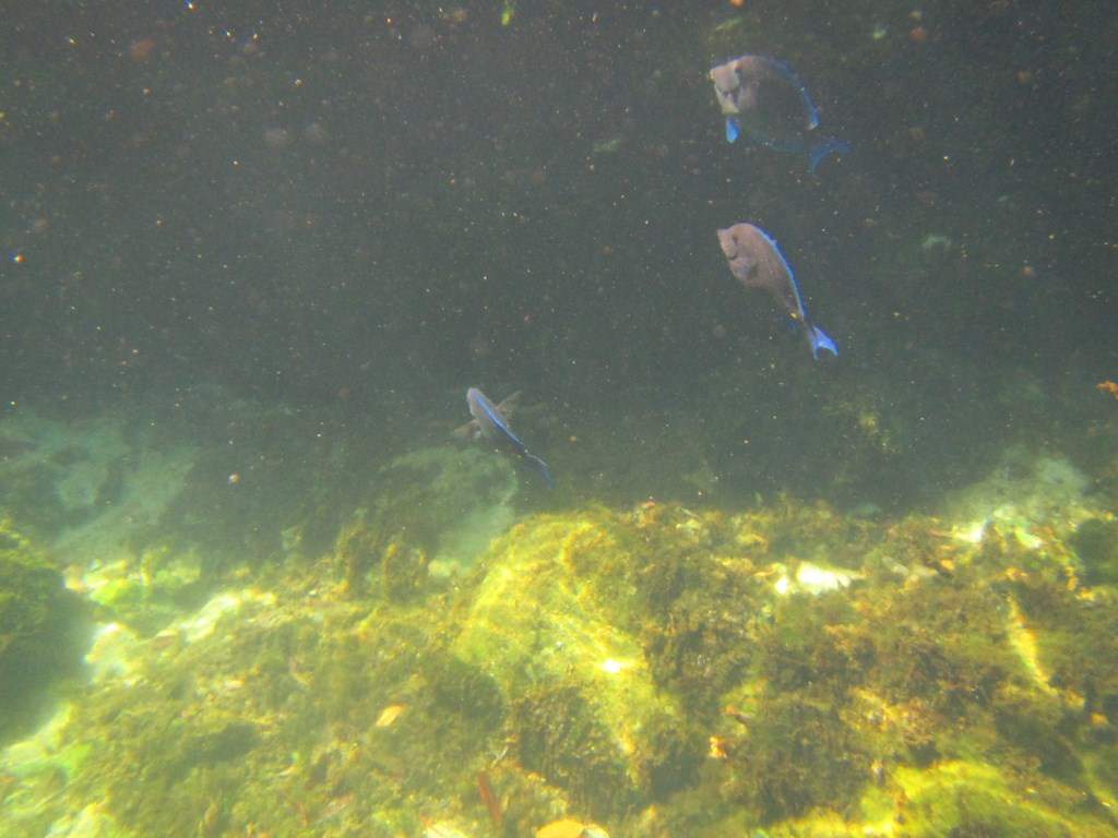ai636.photobucket.com_albums_uu81_ruimartinsphotos_Mexico_202013_IMG_0719Copy.jpg