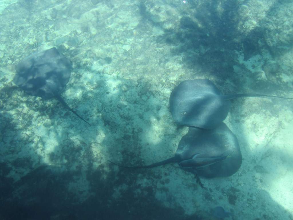 ai636.photobucket.com_albums_uu81_ruimartinsphotos_Mexico_202013_IMG_0746Copy.jpg