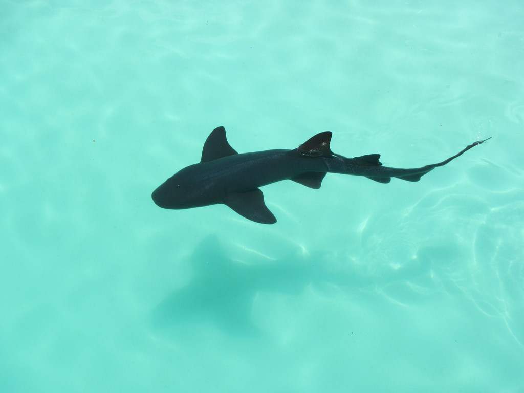 ai636.photobucket.com_albums_uu81_ruimartinsphotos_Mexico_202013_IMG_0841Copy.jpg