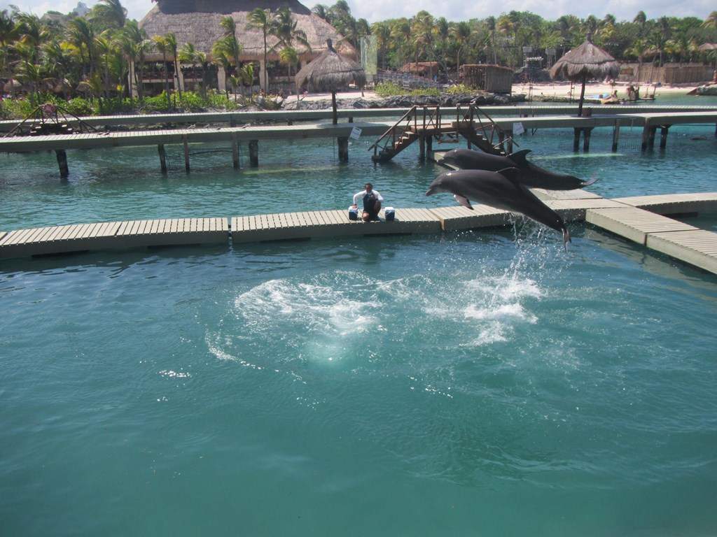 ai636.photobucket.com_albums_uu81_ruimartinsphotos_Mexico_202013_IMG_0887Copy.jpg