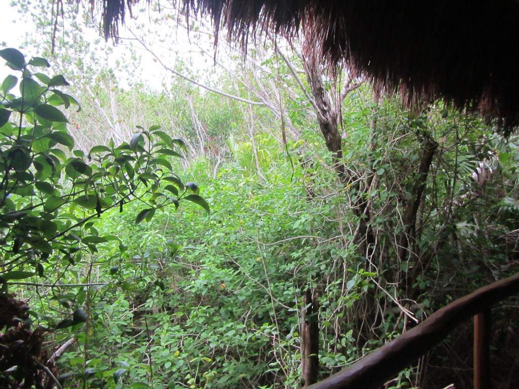 ai636.photobucket.com_albums_uu81_ruimartinsphotos_Mexico_202013_IMG_1025Copy.jpg
