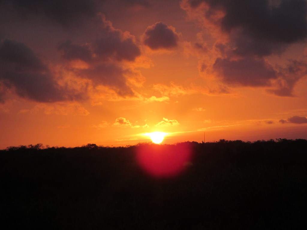 ai636.photobucket.com_albums_uu81_ruimartinsphotos_Mexico_202013_IMG_1031Copy.jpg