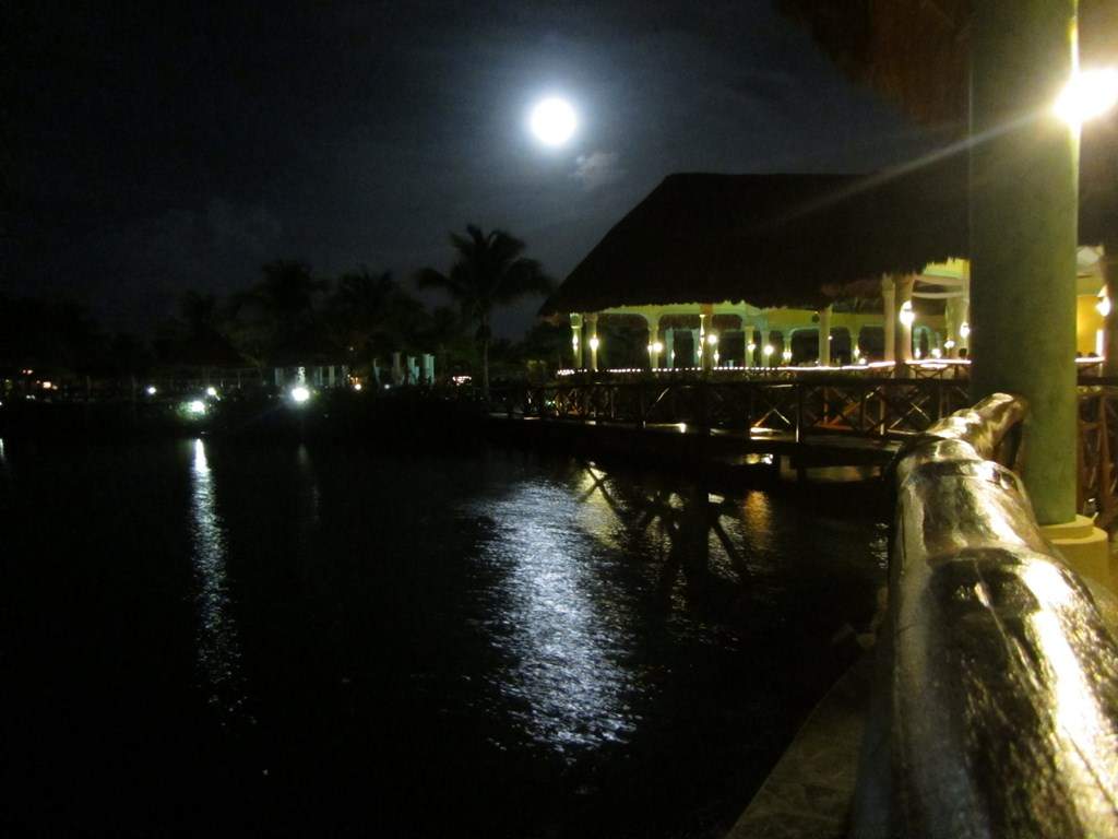 ai636.photobucket.com_albums_uu81_ruimartinsphotos_Mexico_202013_img_1037Copy.jpg