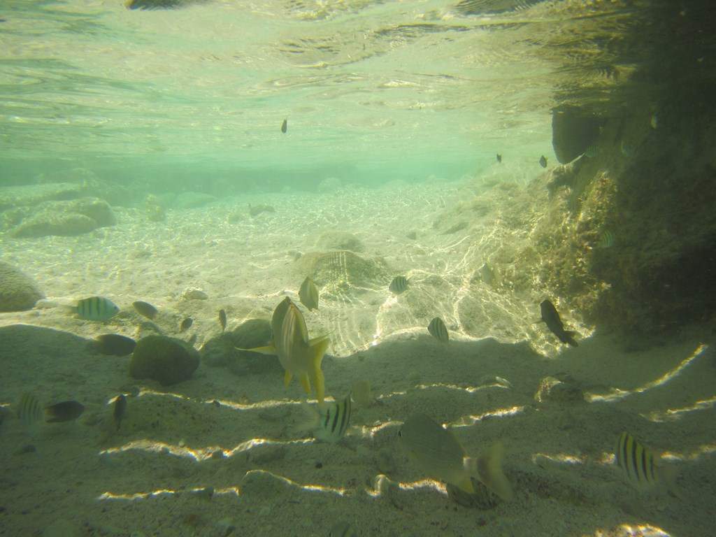 ai636.photobucket.com_albums_uu81_ruimartinsphotos_Mexico_202013_img_1130Copy.jpg