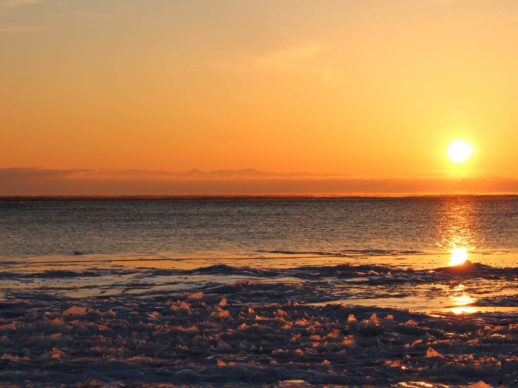 ai636.photobucket.com_albums_uu81_ruimartinsphotos_Temp_IMG_3049.jpg