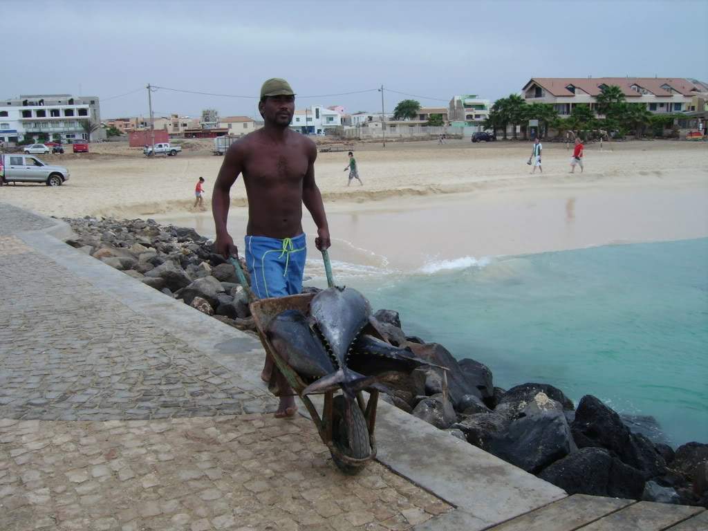 ai637.photobucket.com_albums_uu98_xanato69_32.jpg_1a81edb9fa909fe2d9cf0e2bb1b6de5d.jpg