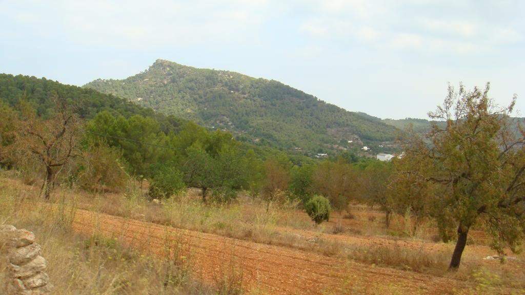ai645.photobucket.com_albums_uu177_helenavm_Ibiza_DSC00343.jpg