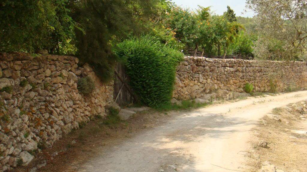 ai645.photobucket.com_albums_uu177_helenavm_Ibiza_DSC00394.jpg