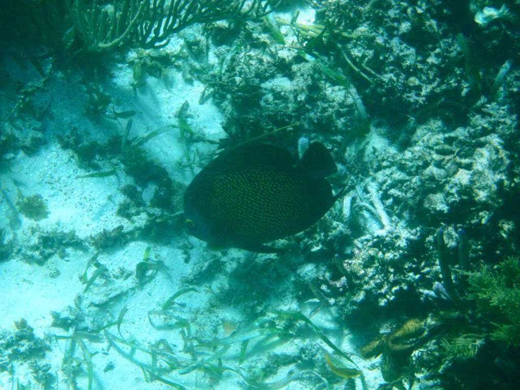 ai646.photobucket.com_albums_uu190_huguitto_PA060268.jpg
