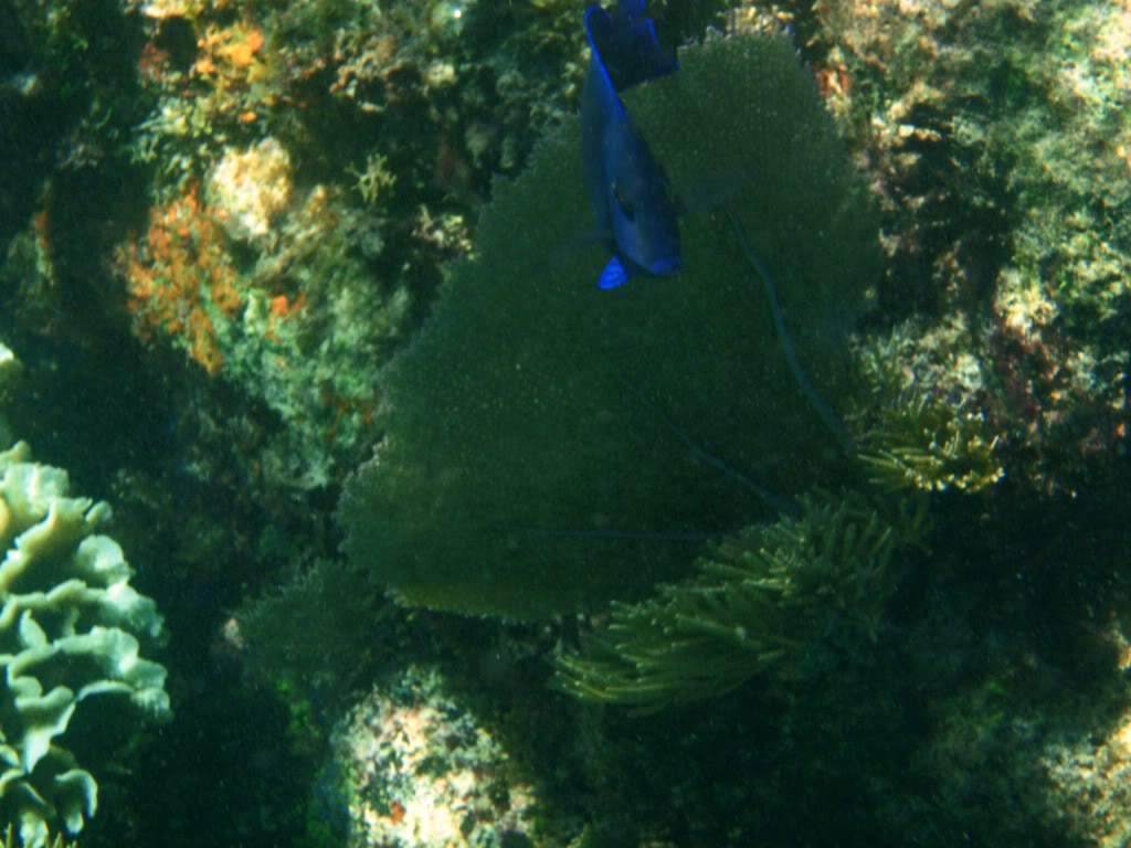 ai646.photobucket.com_albums_uu190_huguitto_PA060283.jpg