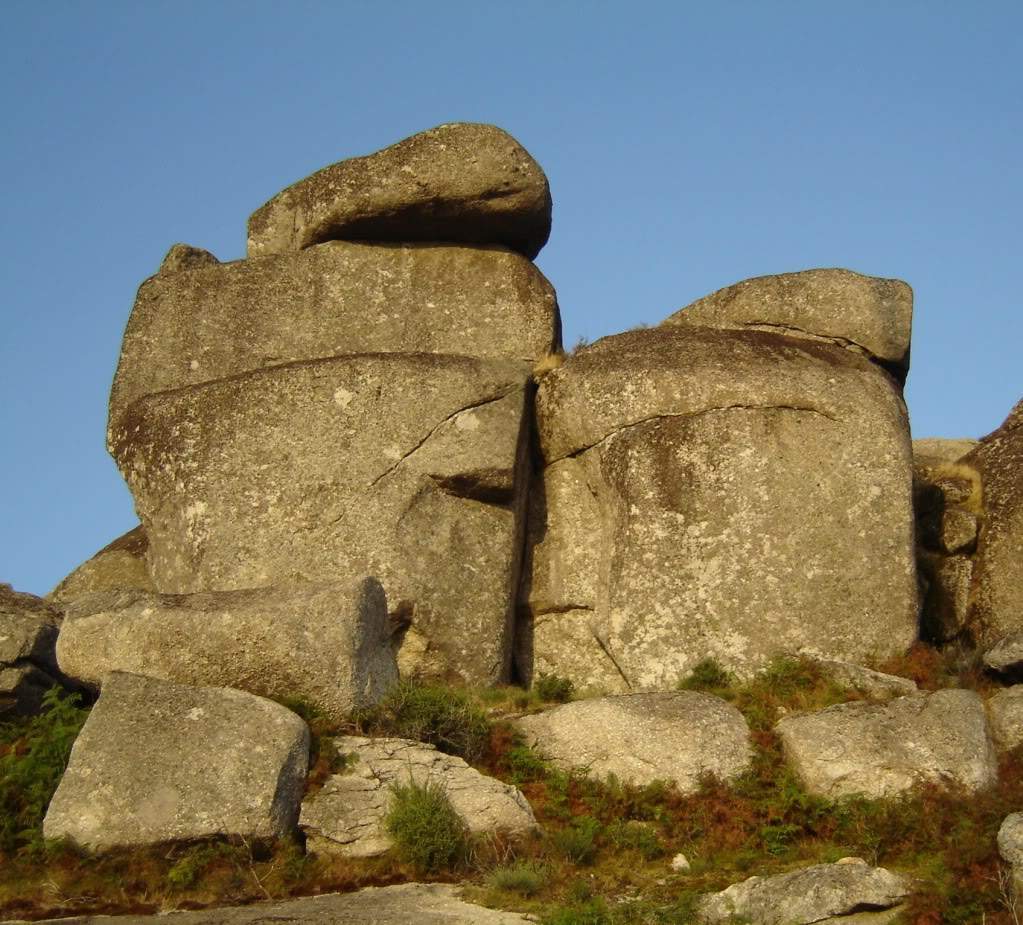 ai647.photobucket.com_albums_uu198_emcoliveira_DSC09015.jpg
