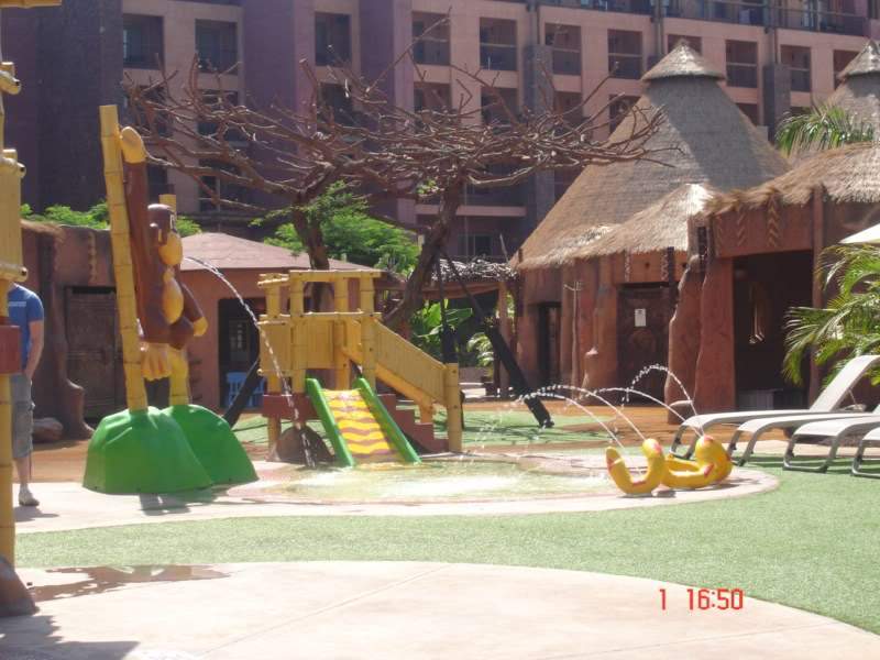 ai650.photobucket.com_albums_uu230_amvba_Baobab_202010_Baobab_Junho2010005800x600_1.jpg