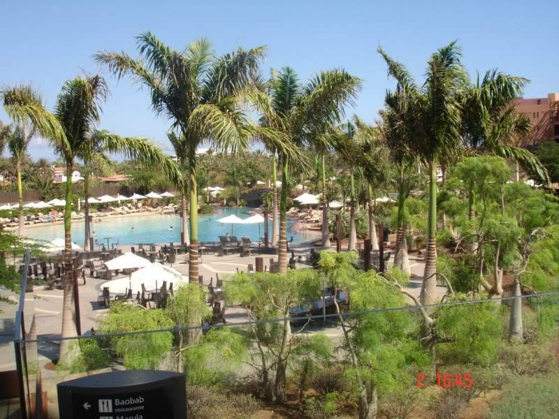 ai650.photobucket.com_albums_uu230_amvba_Baobab_202010_Baobab_Junho2010052800x600.jpg