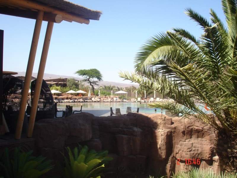 ai650.photobucket.com_albums_uu230_amvba_Baobab_202010_Baobab_Junho2010054800x600.jpg