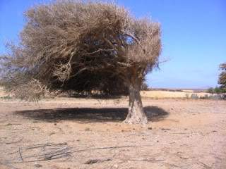 ai656.photobucket.com_albums_uu289_Nunasa_Imagem149.jpg