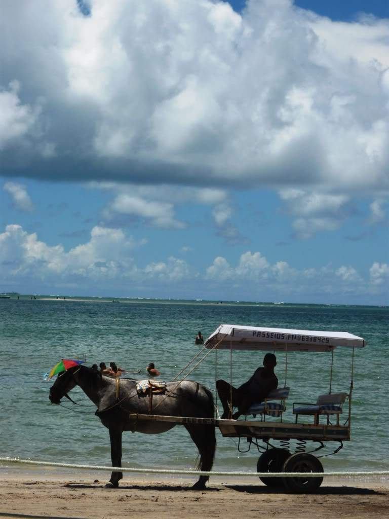 ai664.photobucket.com_albums_vv1_medysa_P1010309.jpg