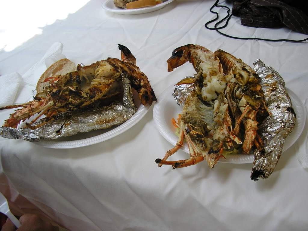 ai668.photobucket.com_albums_vv45_veramelo_Imagem122.jpg
