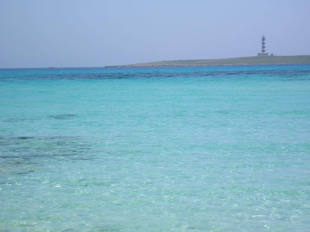 ai668.photobucket.com_albums_vv45_veramelo_P1010164.jpg