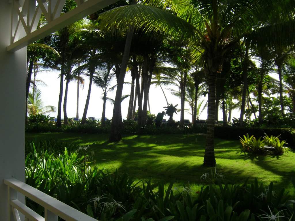 ai688.photobucket.com_albums_vv247_Ruteileal_imx00000079.jpg