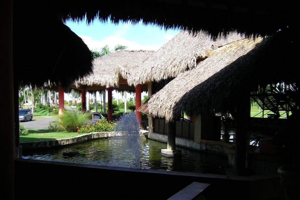 ai688.photobucket.com_albums_vv247_Ruteileal_PuntaCana041.jpg