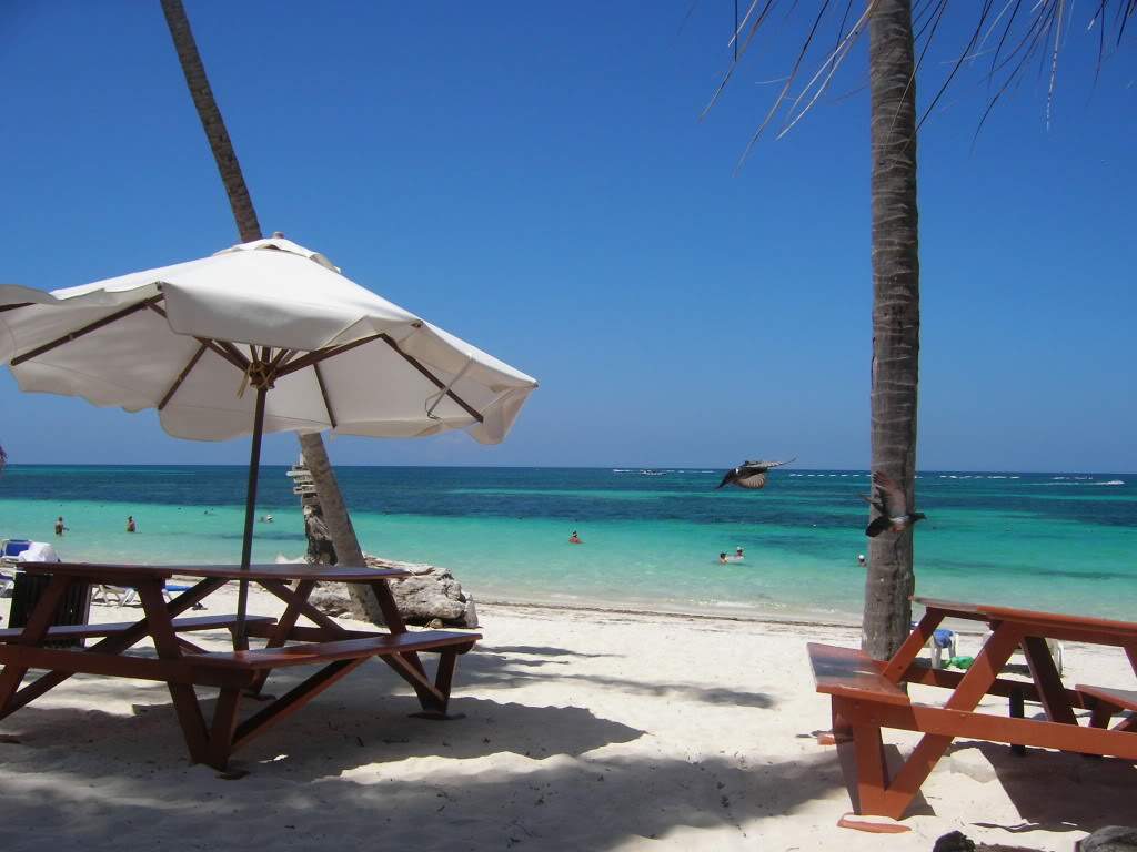 ai688.photobucket.com_albums_vv247_Ruteileal_PuntaCana2008307.jpg
