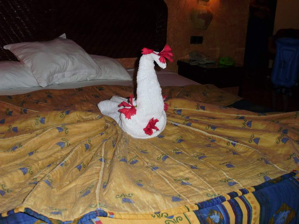 ai688.photobucket.com_albums_vv247_Ruteileal_PuntaCana2009112.jpg