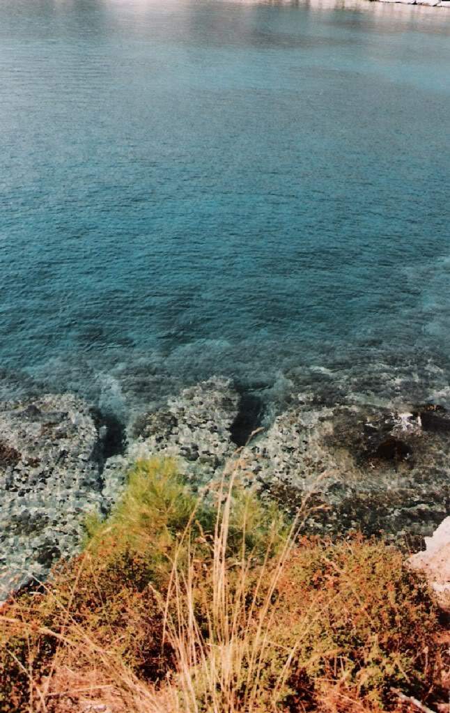 ai695.photobucket.com_albums_vv313_anamateus15_aliki.jpg