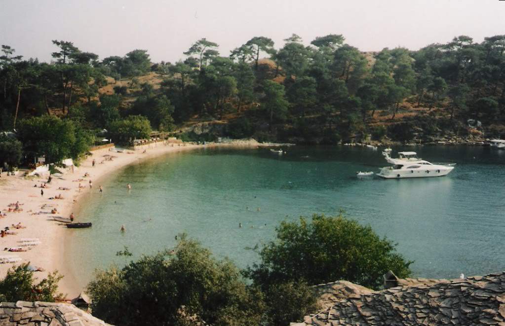 ai695.photobucket.com_albums_vv313_anamateus15_aliki2.jpg