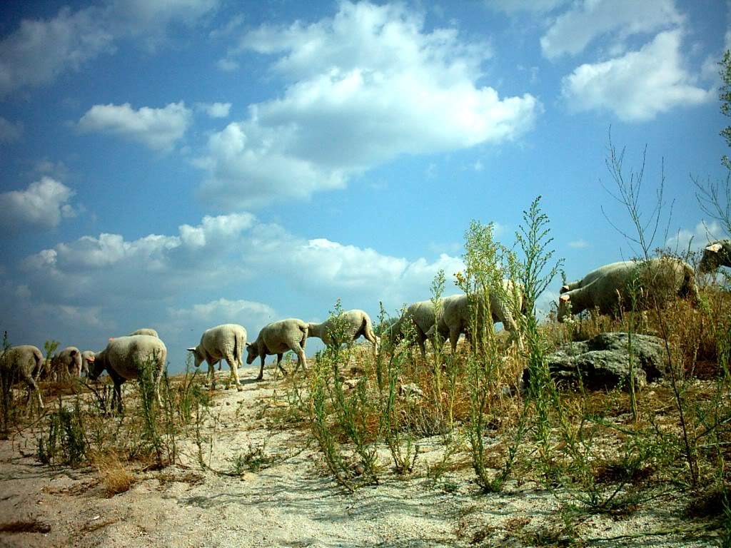 ai695.photobucket.com_albums_vv313_anamateus15_IMAG0050.jpg