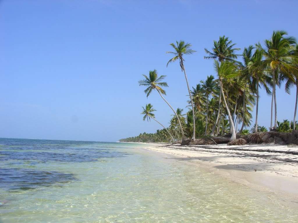 ai705.photobucket.com_albums_ww58_AndyCris_photo_RDPuntaCana2008185.jpg