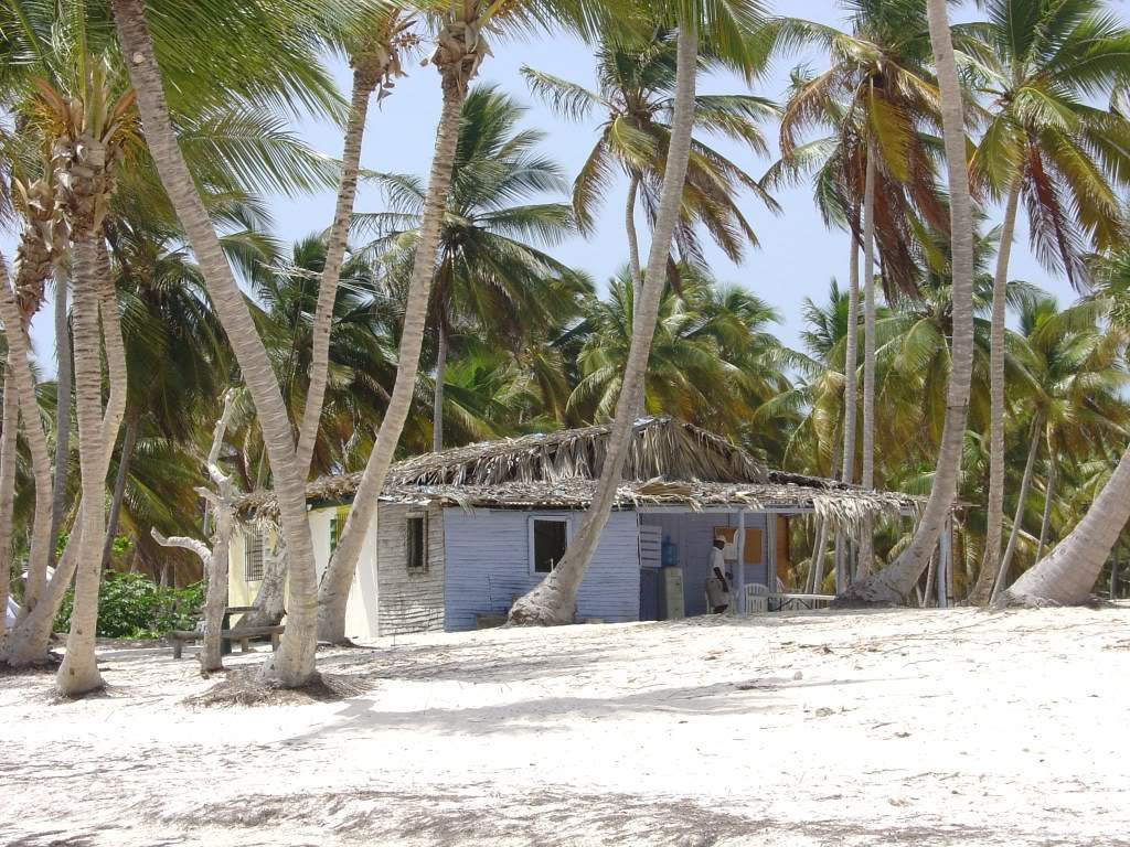 ai705.photobucket.com_albums_ww58_AndyCris_photo_RDPuntaCana2008271.jpg