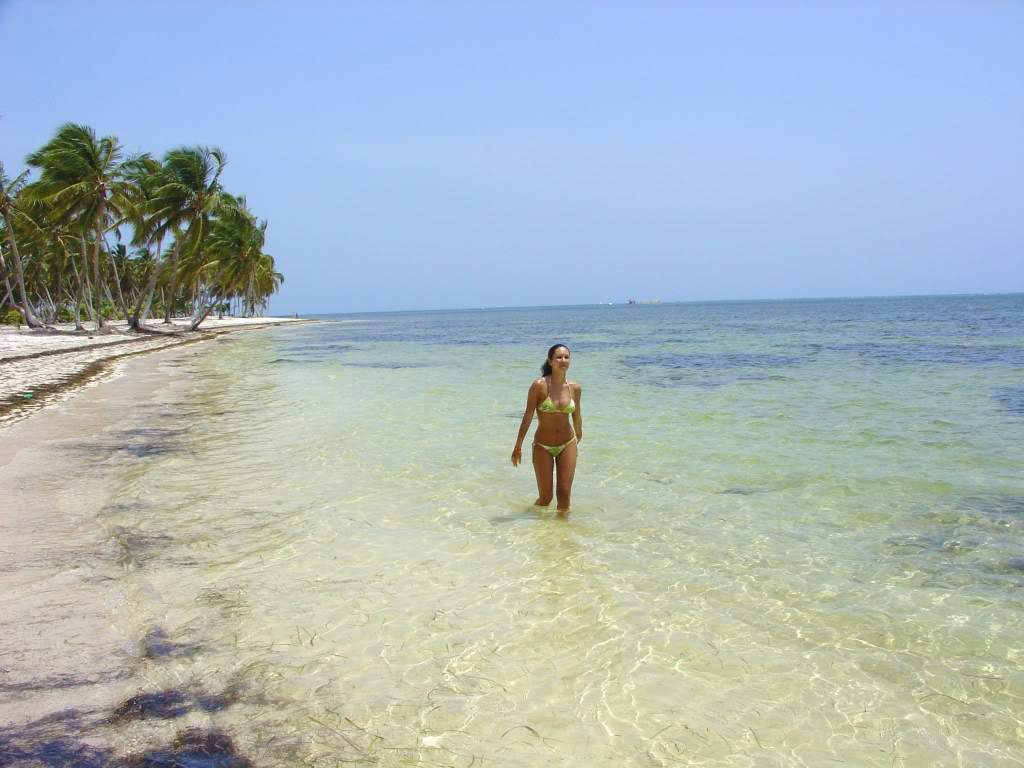 ai705.photobucket.com_albums_ww58_AndyCris_photo_RDPuntaCana2008273.jpg