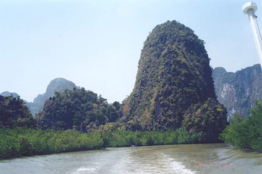 ai710.photobucket.com_albums_ww108_pbpinto_PN_SeaJungle.jpg