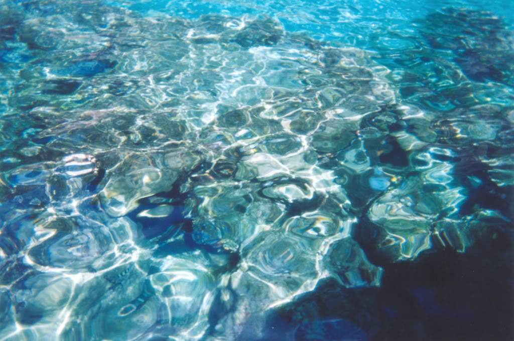 ai710.photobucket.com_albums_ww108_pbpinto_snorkel2.jpg