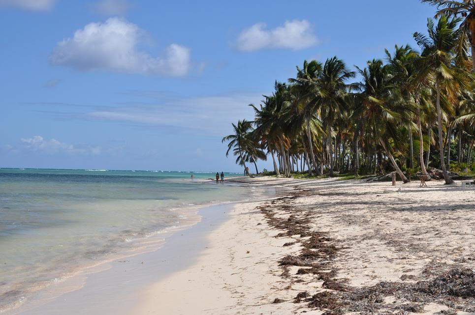 ai714.photobucket.com_albums_ww143_goldenmoon_photos_Playa_Bavaro_1.jpg