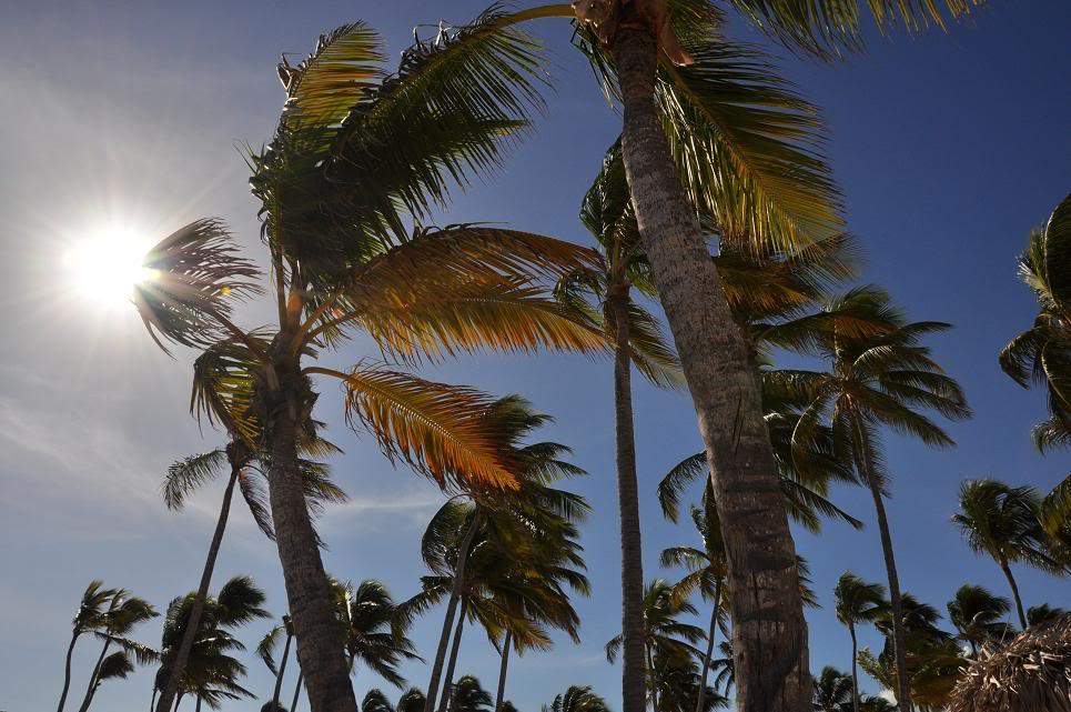 ai714.photobucket.com_albums_ww143_goldenmoon_photos_Playa_Bavaro_3.jpg