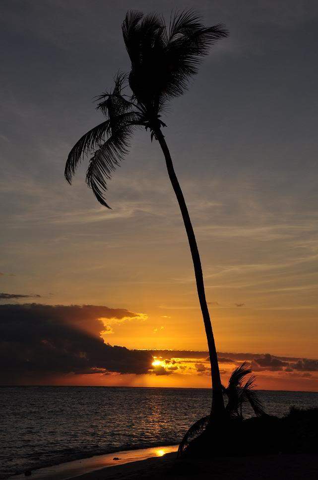 ai714.photobucket.com_albums_ww143_goldenmoon_photos_Playa_Bavaro_4.jpg