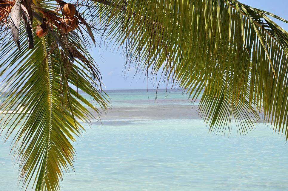 ai714.photobucket.com_albums_ww143_goldenmoon_photos_Saona_2.jpg