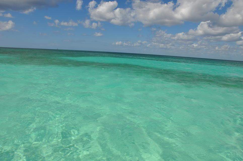 ai714.photobucket.com_albums_ww143_goldenmoon_photos_Saona_Mar_Caribe.jpg