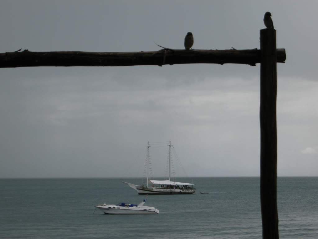 ai734.photobucket.com_albums_ww349_coroadoalves_Bzios.jpg