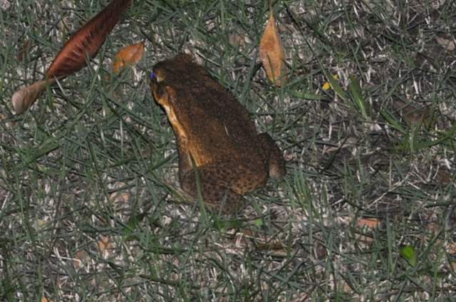 ai736.photobucket.com_albums_xx4_stacr_photos_0041.jpg
