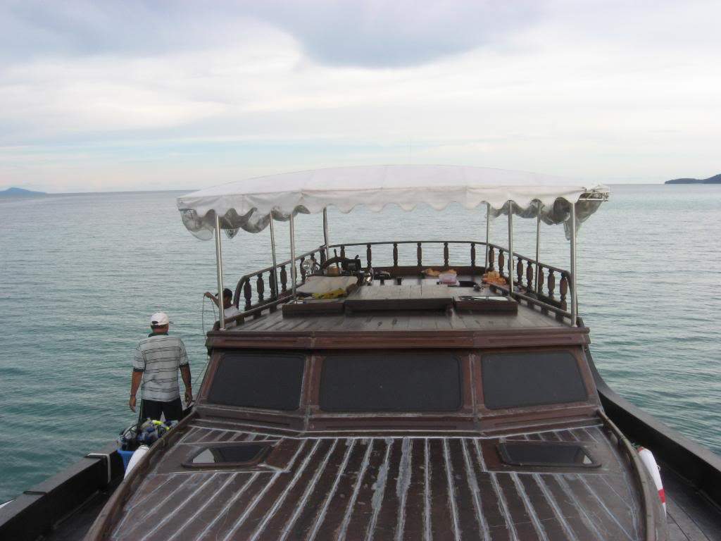 ai738.photobucket.com_albums_xx24_paionense_PhiiPhi2008308.jpg